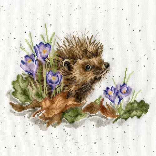 (image for) New Beginnings